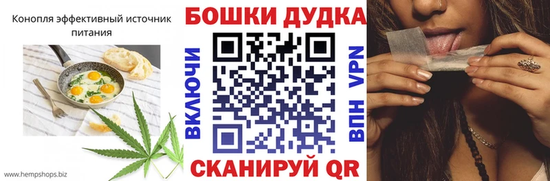 Canna-Cookies конопля где продают наркотики Ардатов