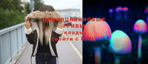Альфа ПВП Алексин