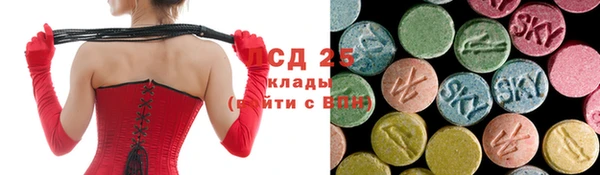 apvp Алзамай