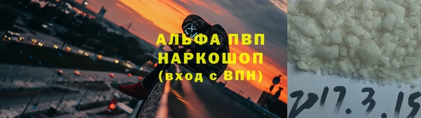 apvp Алзамай
