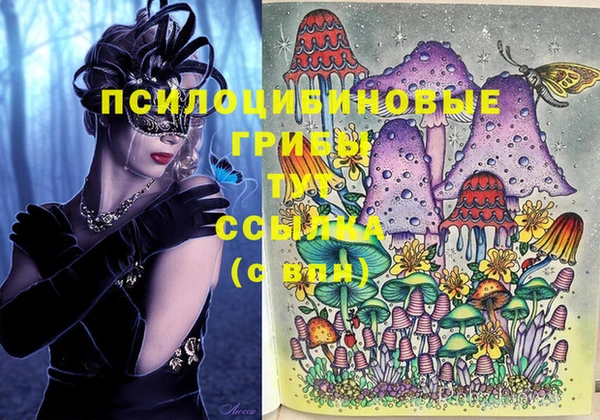 Альфа ПВП Алексин