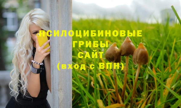 Альфа ПВП Алексин