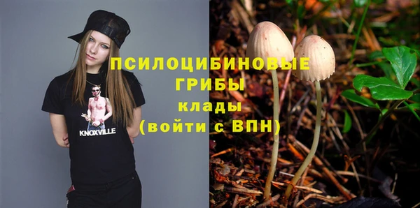 Альфа ПВП Алексин
