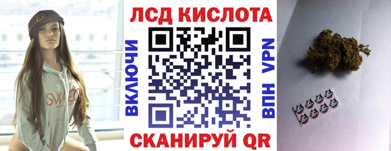 купить наркотик  Ардатов  kraken онион  Марки NBOMe 1500мкг 